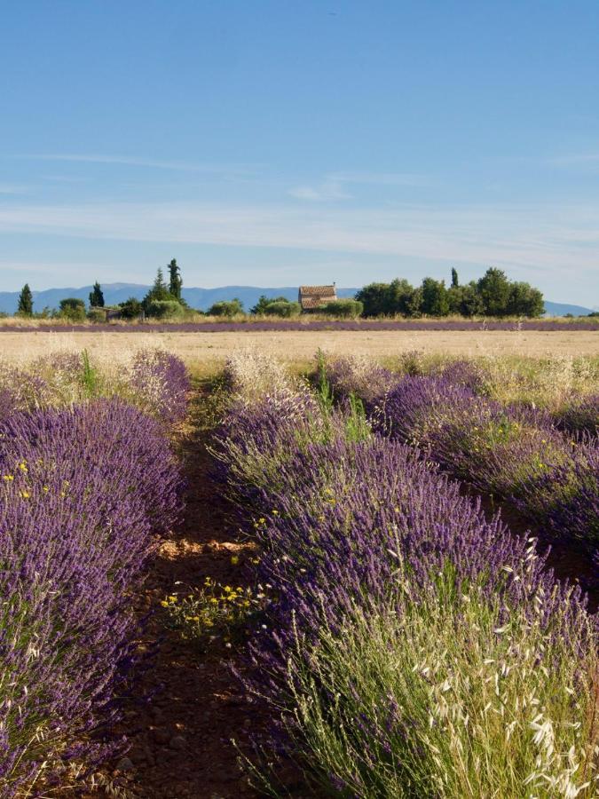 Verdon Secret - L'Escapade Parfaite Leilighet Gréoux-les-Bains Eksteriør bilde