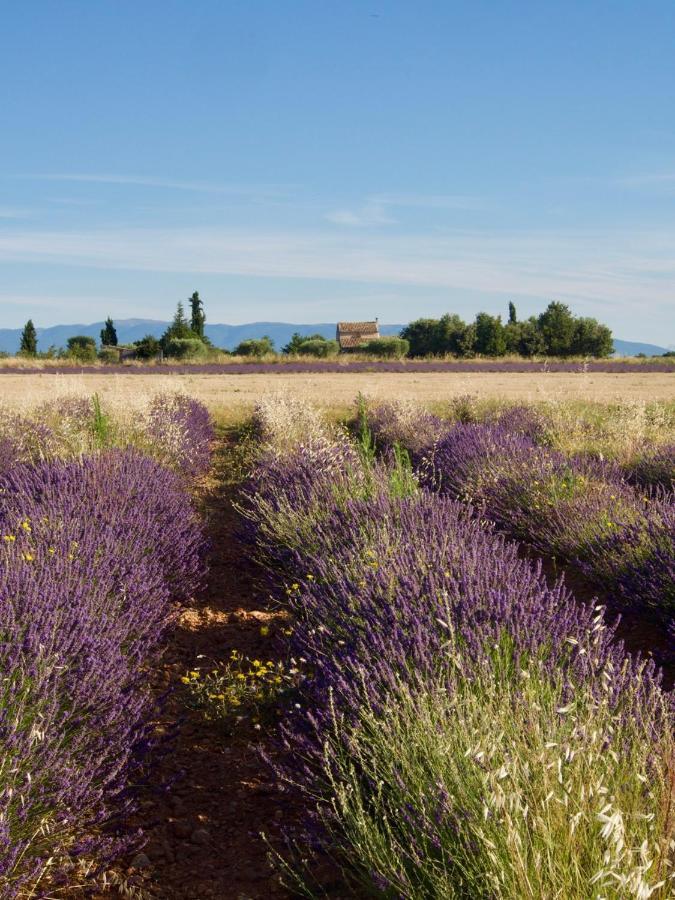 Verdon Secret - L'Escapade Parfaite Gréoux-les-Bains Eksteriør bilde